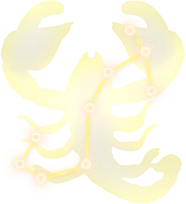 天蝎座